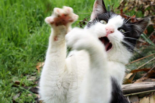 不为人知的私人生活:车手的日常,车手的车