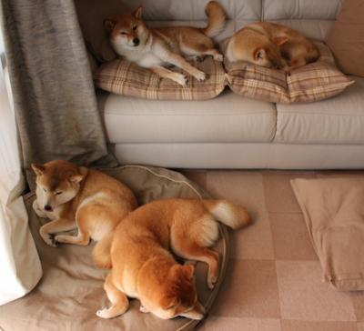 爱游戏官方-青少年足球技能大赛在全国多地精彩举行，发现新星纷纷崭露头角