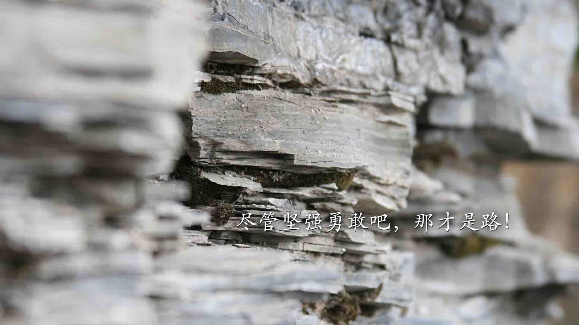 独行侠实现惊艳逆转,战胜小牛领先对手,独行侠进攻