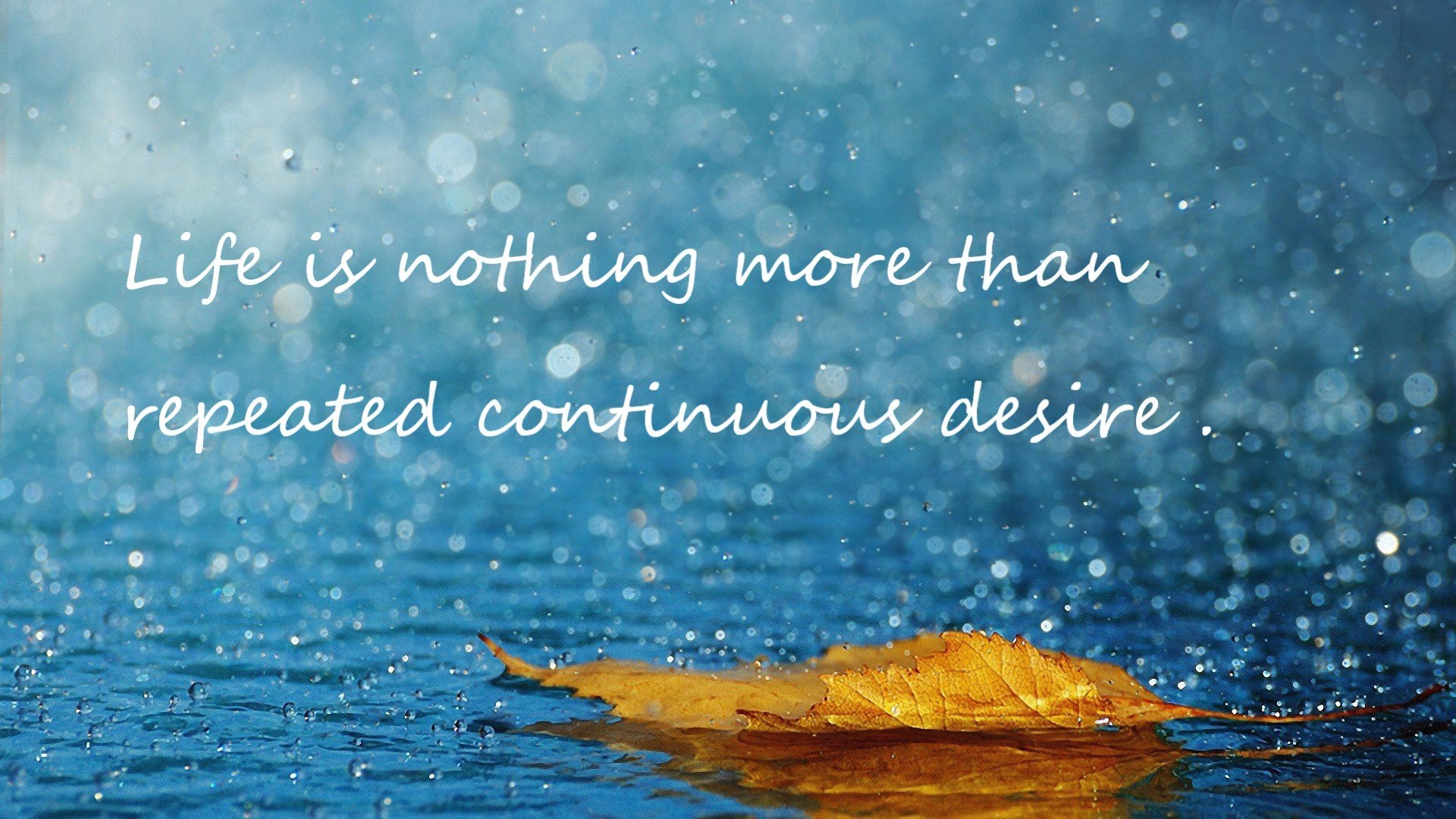 狼堡主场大获全胜,实现四连胜,追赶积分榜领先者,狼堡冠军阵容