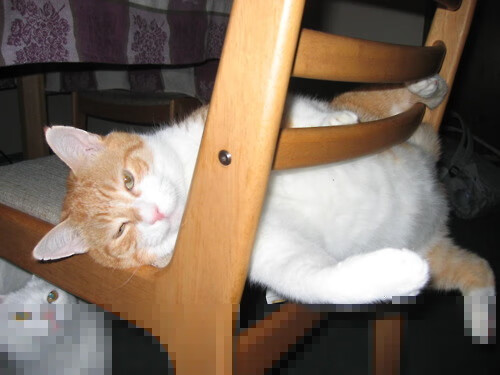 爱游戏体育-阿尔瓦塞特大规模轮换，士气大振，阿尔瓦塞特vs西班牙人直播