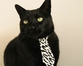 韩选手星际争霸选拔赛激烈角逐,星际争霸韩国第一人