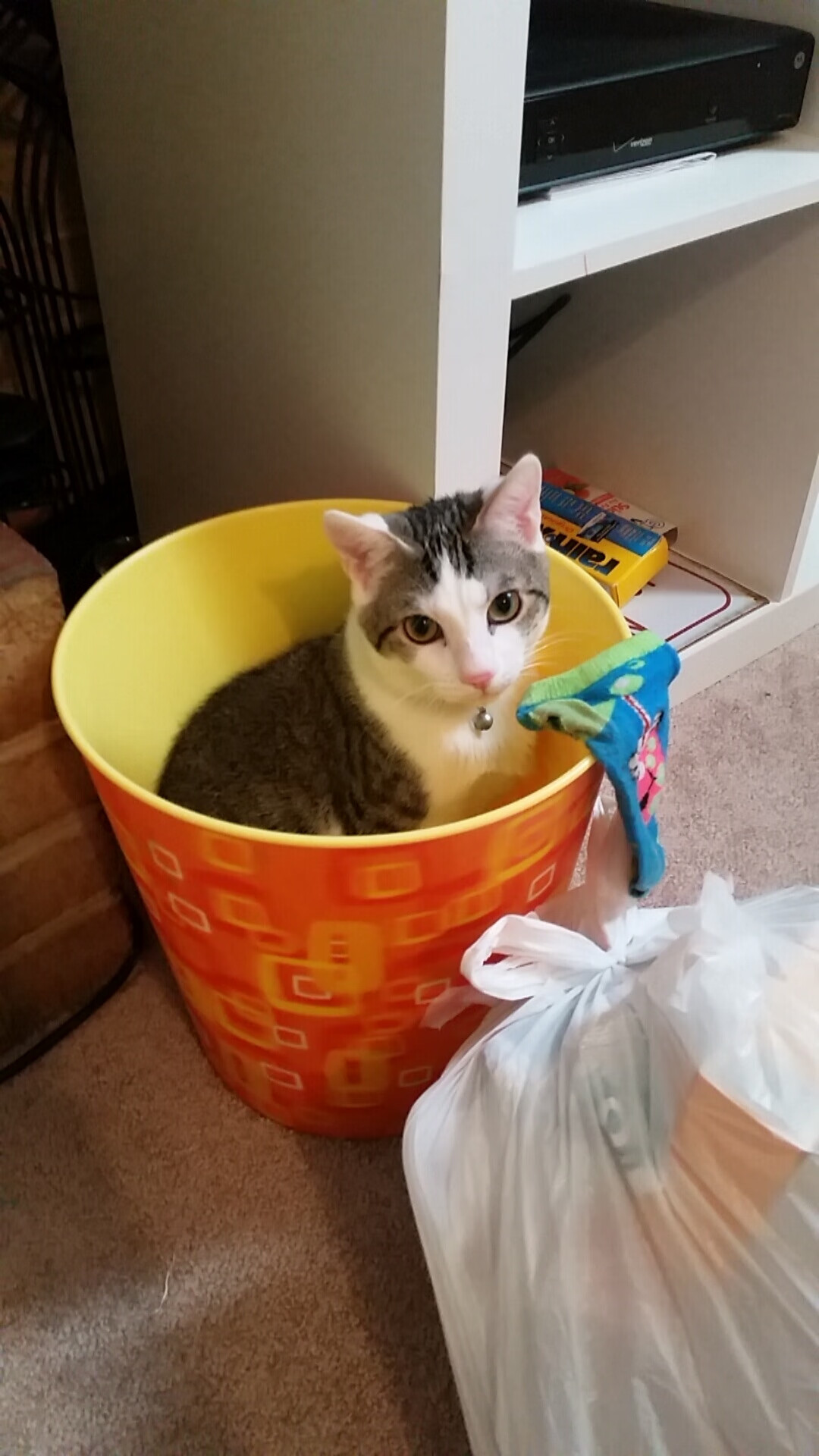 德甲球队利用情绪波动曲线预测关键时刻战术执行效率,情绪波动理论