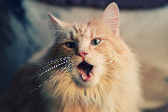 法甲球员赛后心率恢复监测促进科学训练调整,法甲水平如何