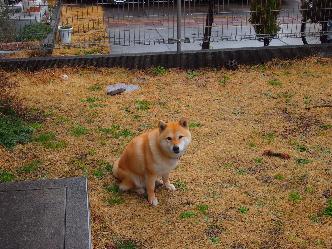 田径选手试水跨项挑战拓宽发展路径,田径项目突破