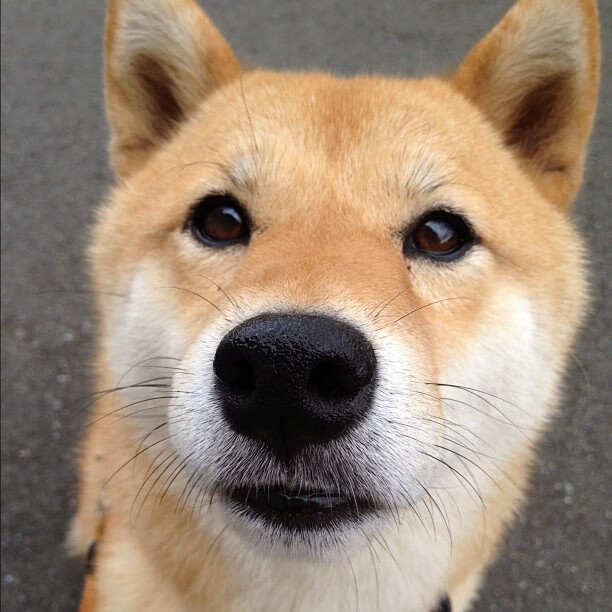 足球俱乐部青训体系不断完善,足球青训俱乐部规章制度