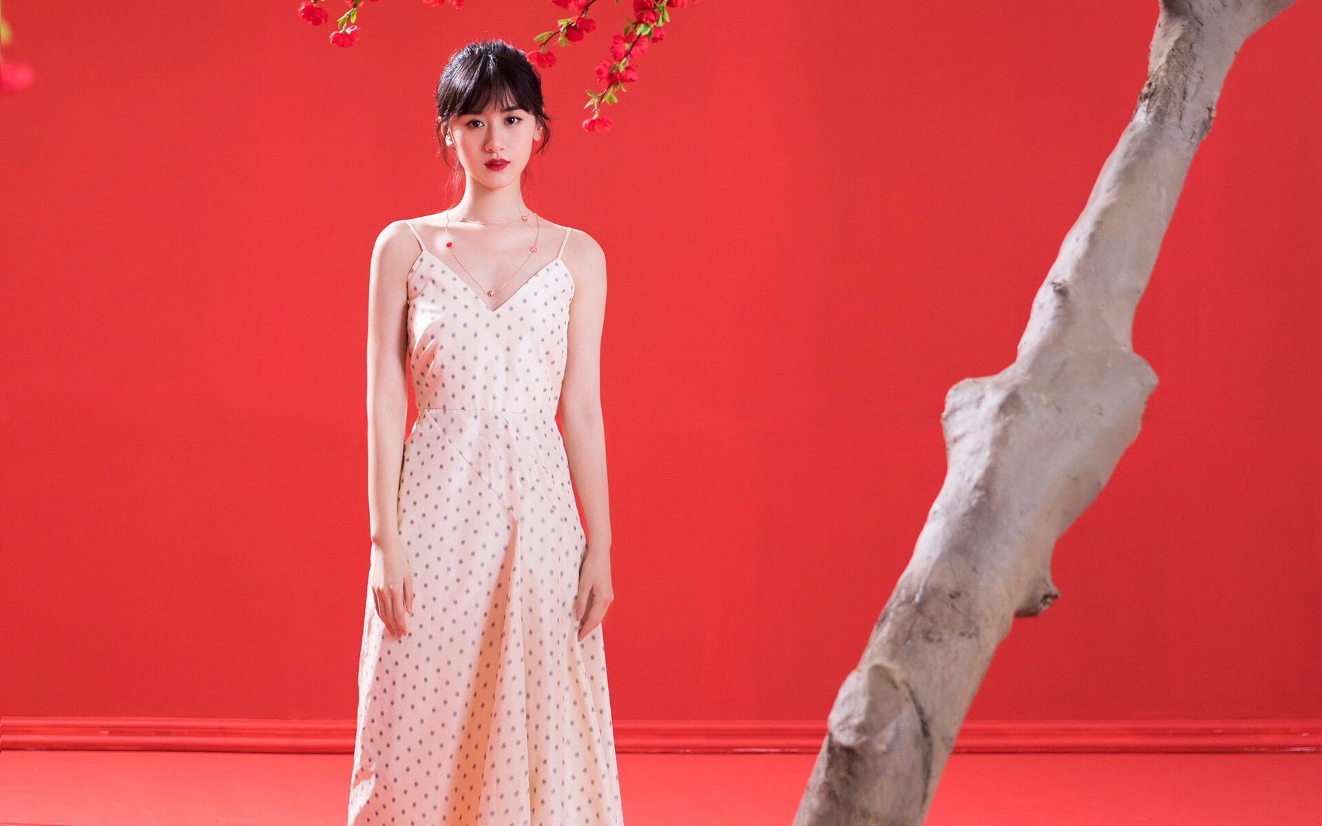 巴西男篮在拉丁美洲锦标赛中获胜,迈向奥运梦想,巴西男蓝名单