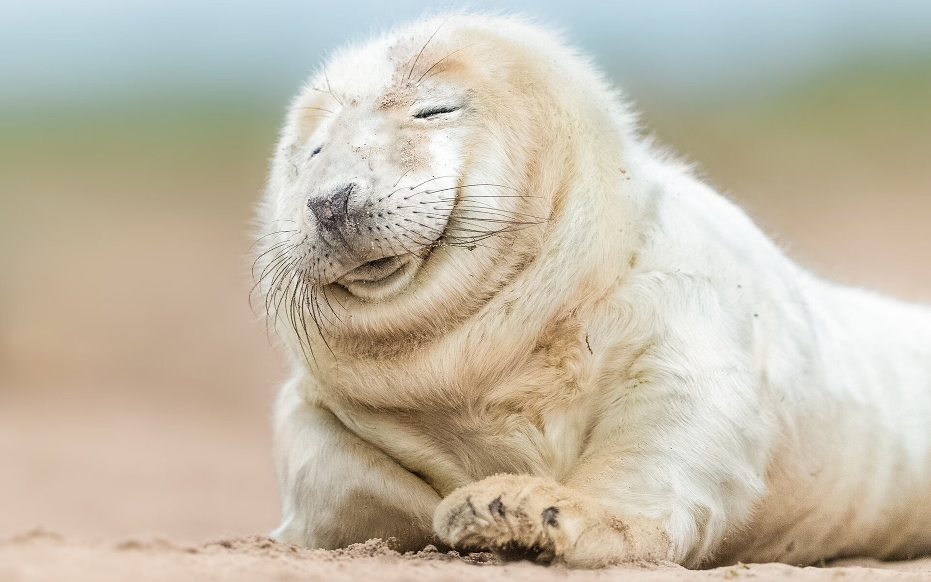 爱游戏综合娱乐-球员个人品牌建设加强，商业代言成收入新来源，每个球星代言的品牌