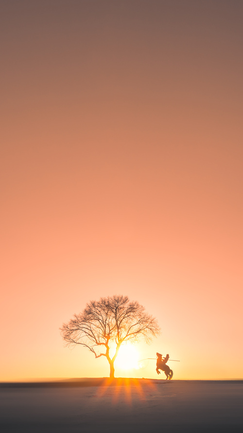 电竞战术分析平台进入高校课堂，电竞 分析