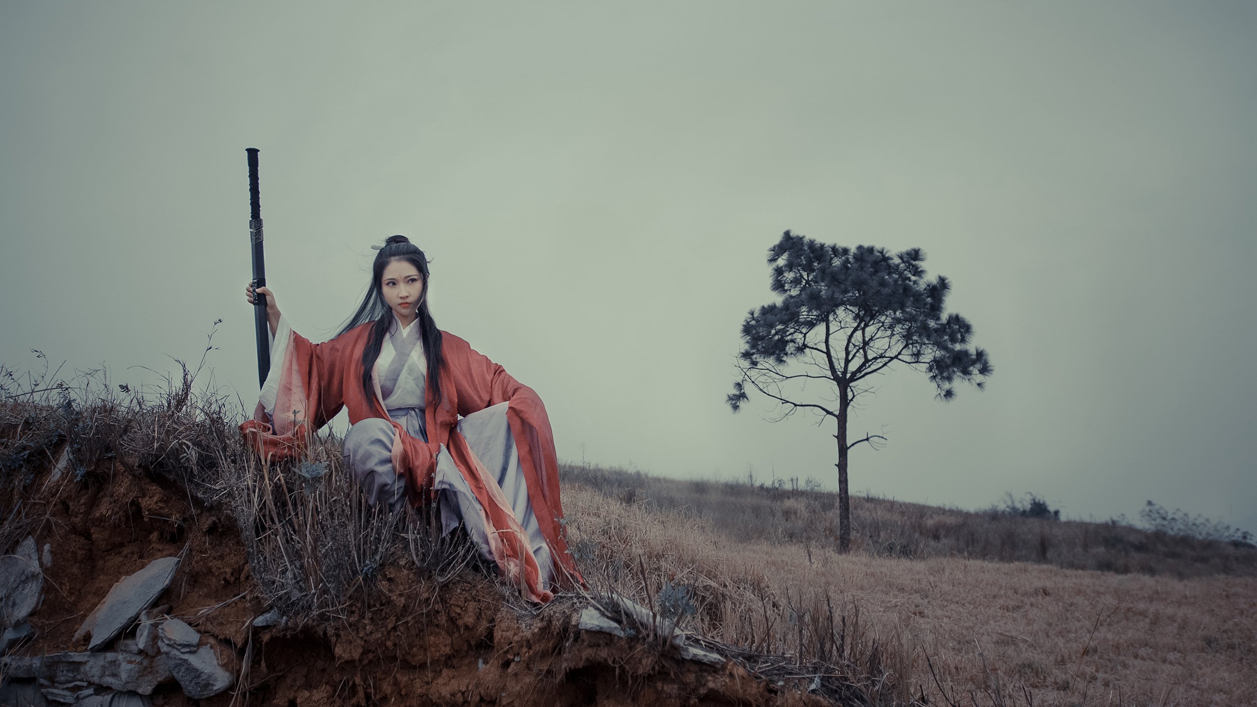 自由泳长距离荷兰展现耐力优势，自由泳比赛距离