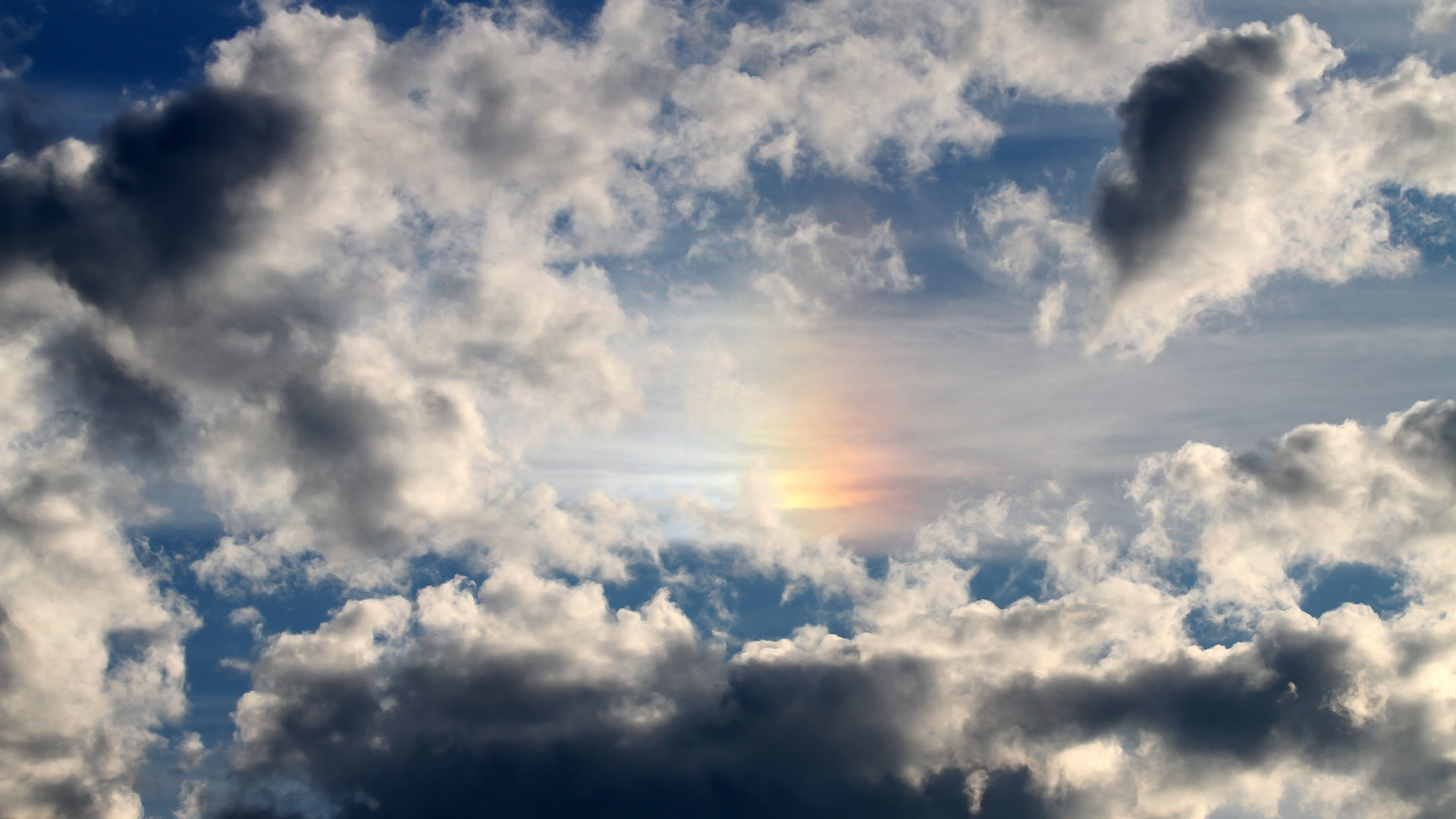 蛙泳划频控制精准度显著提升,蛙泳划水频率越低越好吗