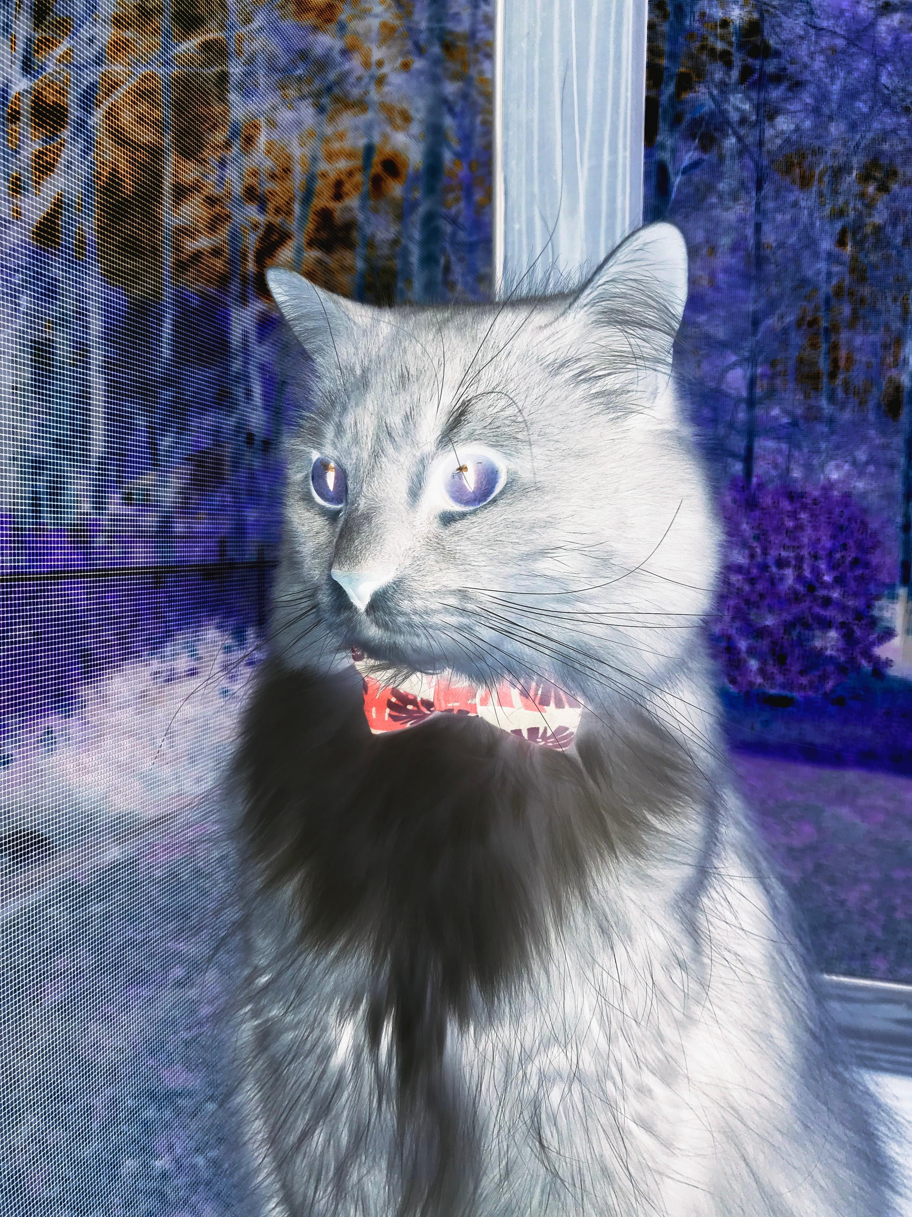 足球裁判引入VR模拟训练,执法水平显著提升,足球vr裁判是什么意思